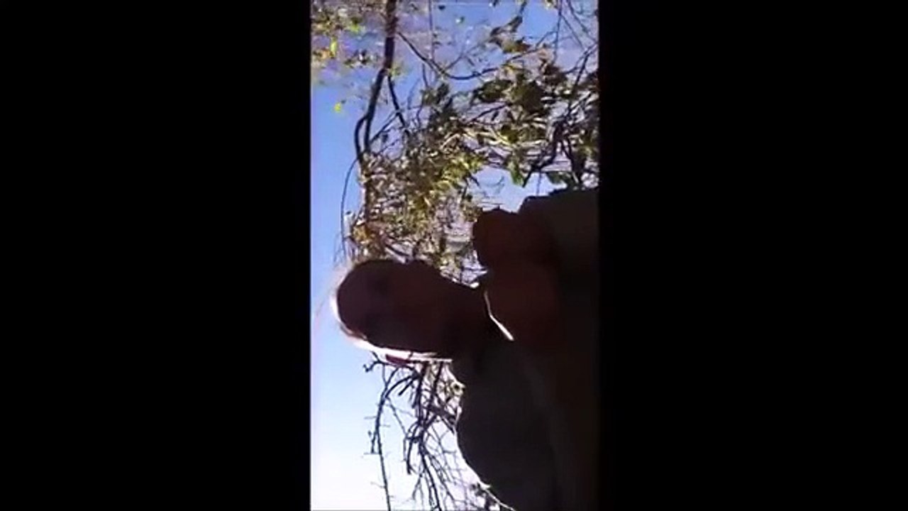 If u aint got no search aint searc