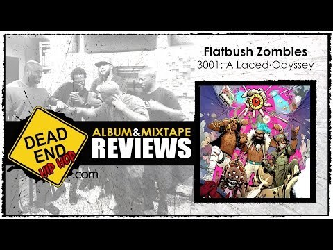 Flatbush Zombies - 3001: A Laced Odyssey Album Review | DEHH
