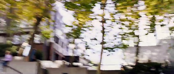 Enter the Warriors Gate Trailer #1 (2017)