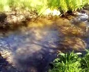 a few easy steps to lengthen your life