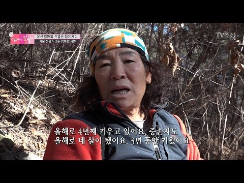 험한 산을 기어서 오르는 엄마의 사연은? [엄마의 봄날] 75회 20170205