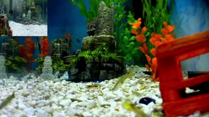 Relaxing Music Baby Nap Time Part 2