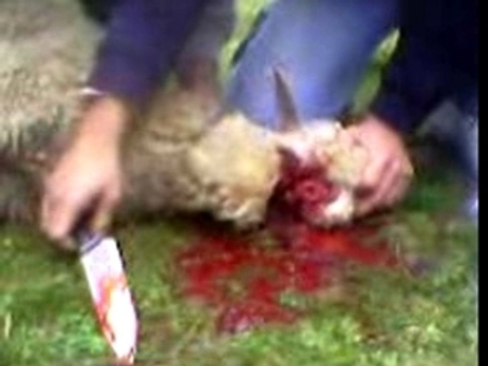 Sacrifice 1