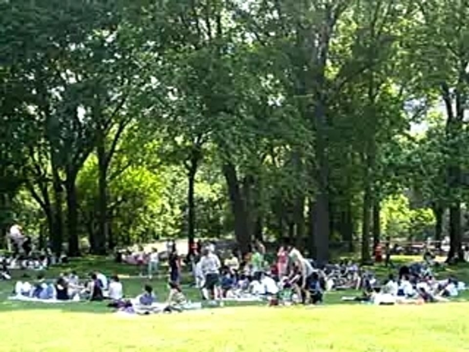 central park on sunday!