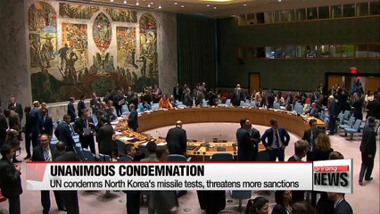 Скачать видео: UN Security Council threatens additional sanctions on North Korea