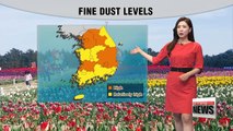 Yellow dust sweeps into Korea