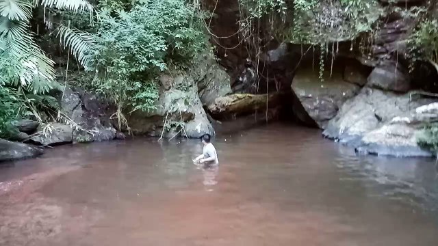 เที่วยป่าหา2560