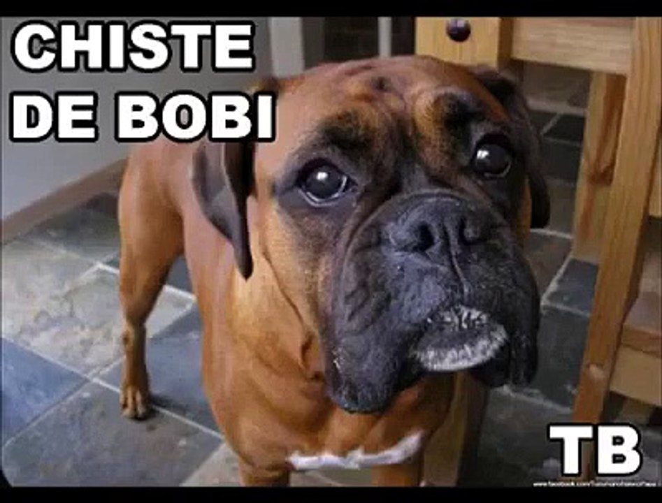 Chiste de Bobby