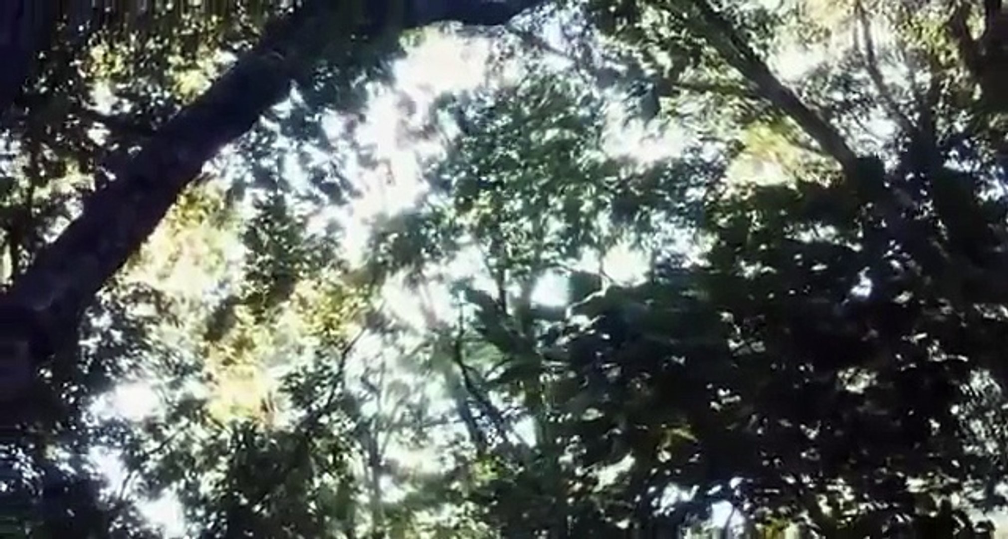 New Horror Movies 2017 Full Scary Thriller Movie