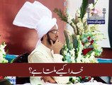 Sahibzada Sultan Ahmad ALI Sb speaking about 