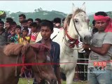 গোপালগঞ্জের কোটালিপাড়া ঘোড় দৌড় অনুষ্ঠিত