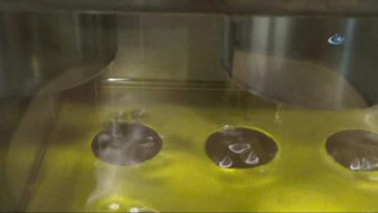 Zeytinyağını Saklama Sırları