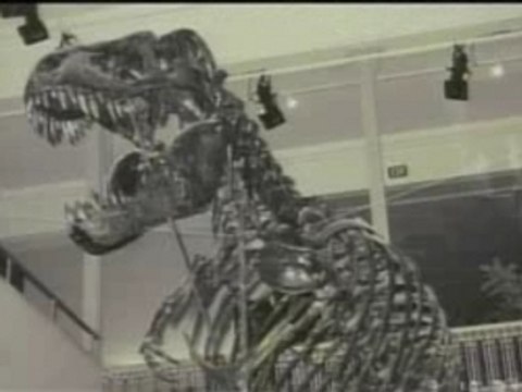 Chuck - Flight Ocean 815