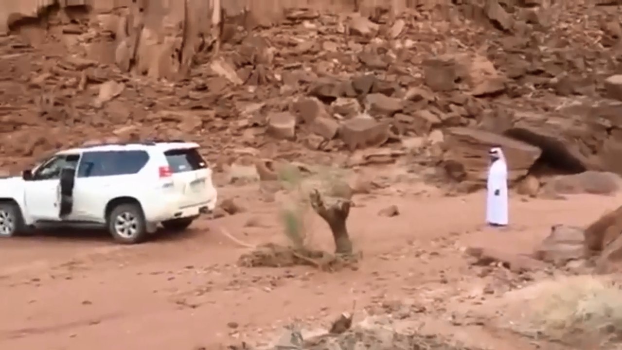 Comment déraciner un tronc d'arbre avec un 4x4.