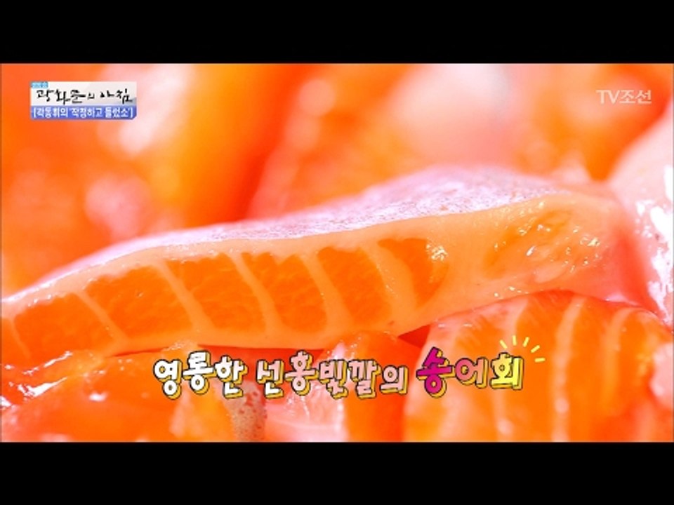 잡은 송어는 바로 먹는다! 영롱한 선홍빛의 송어회! [광화문의 아침] 413회 201...