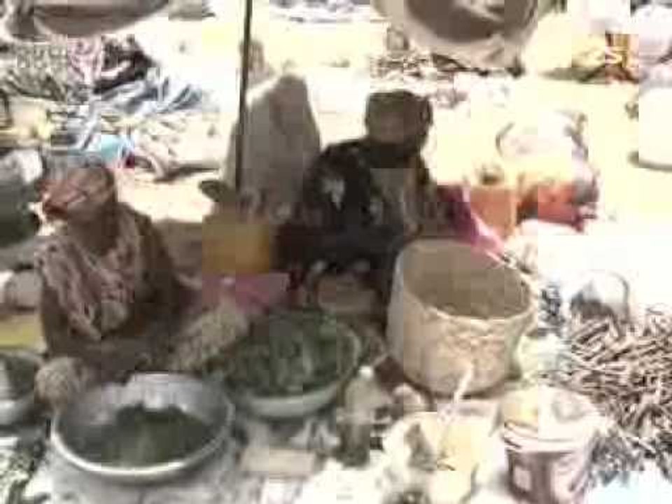Pulaar Actu - 19 Juillet 2012
