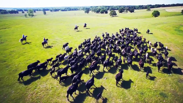 Audi haptics - Audi and the senses (1-3)