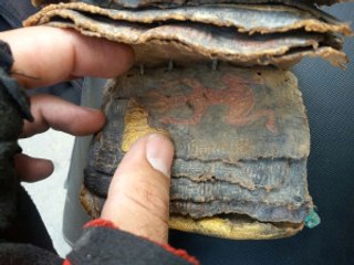 Adana'da Ceylan Derisine El Yazması Tevrat Bulundu