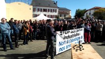 Pyrénées-Atlantiques : à Domezain, manifestation contre l'abattage de volailles