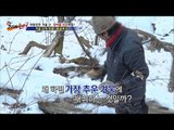 겨울산의 보물, 말굽버섯! 그 이유는? [뉴 코리아 헌터] 35회 20170130