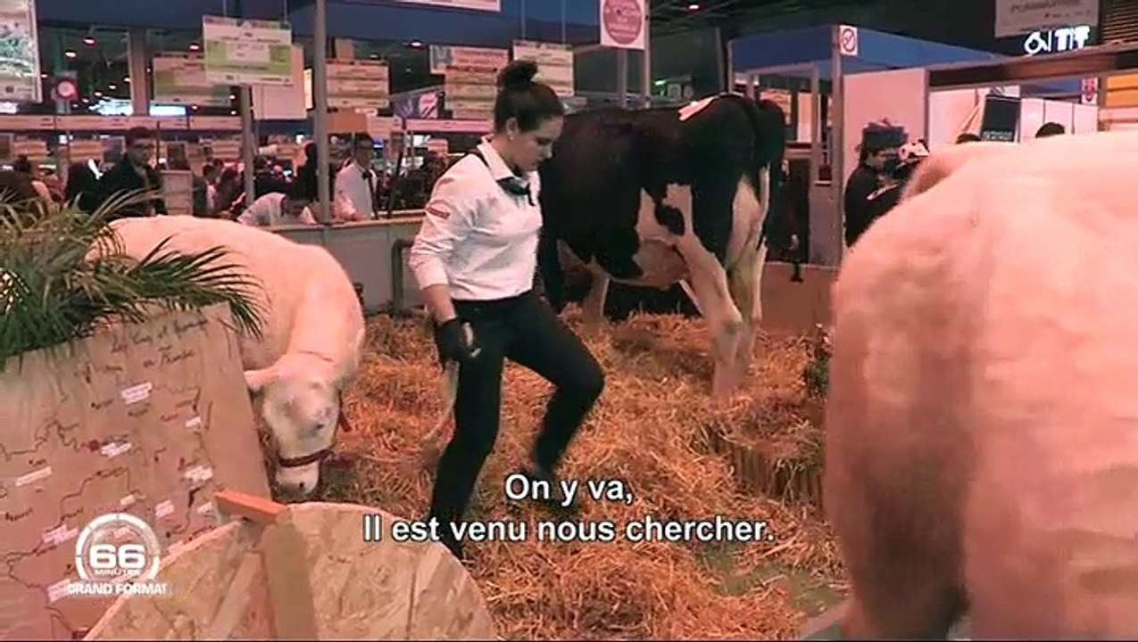 66 minutes de M6 sur le lycée agricole de Bourges Le Subdray