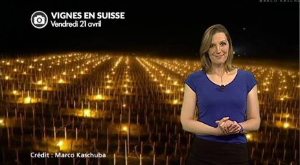 Vignes : impressionnantes images de la lutte contre le gel