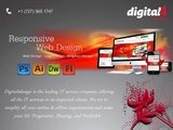 Hire A Professional Website Designer For Your Website