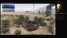 gta5 (7)