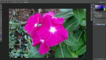 Changing Colors _ Photoshop CC adobe photshop help for photo shop cc help video