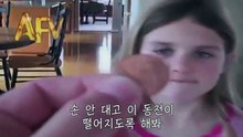 크리스탈
