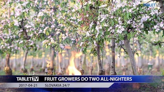 170316-008-014_SVK_24_7_20170421