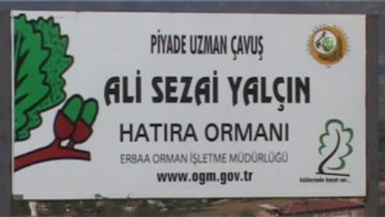Şehit Asker Anısına Hatıra Ormanı