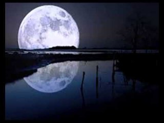 Foo Art (Himalaya) - Pohon Syawal