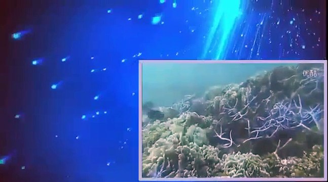 NHKスペシャル 日本列島　奇跡の大自然 第２集 海 豊かな命の物語 part 2/2