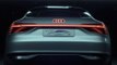 Audi e-tron Sportback Concept (Extérieur)