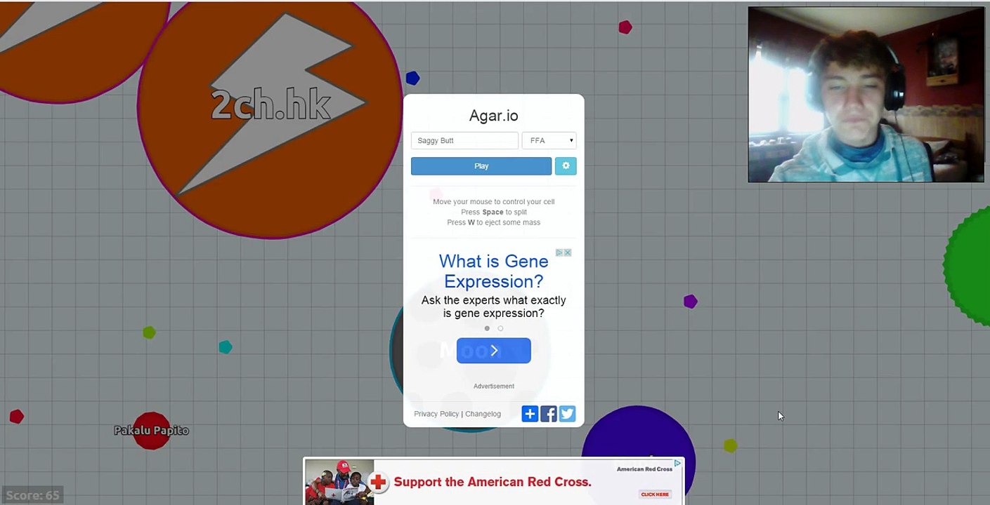I'M A SAGGY BUTT- Agar.io