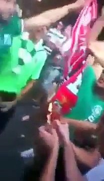 Adeptos do Sporting atacam carrinha com adeptos benfiquistas