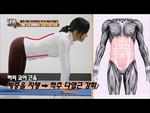 허리 건강을 위한 다열근 강화 운동법! [내 몸 사용설명서] 139회 20170127