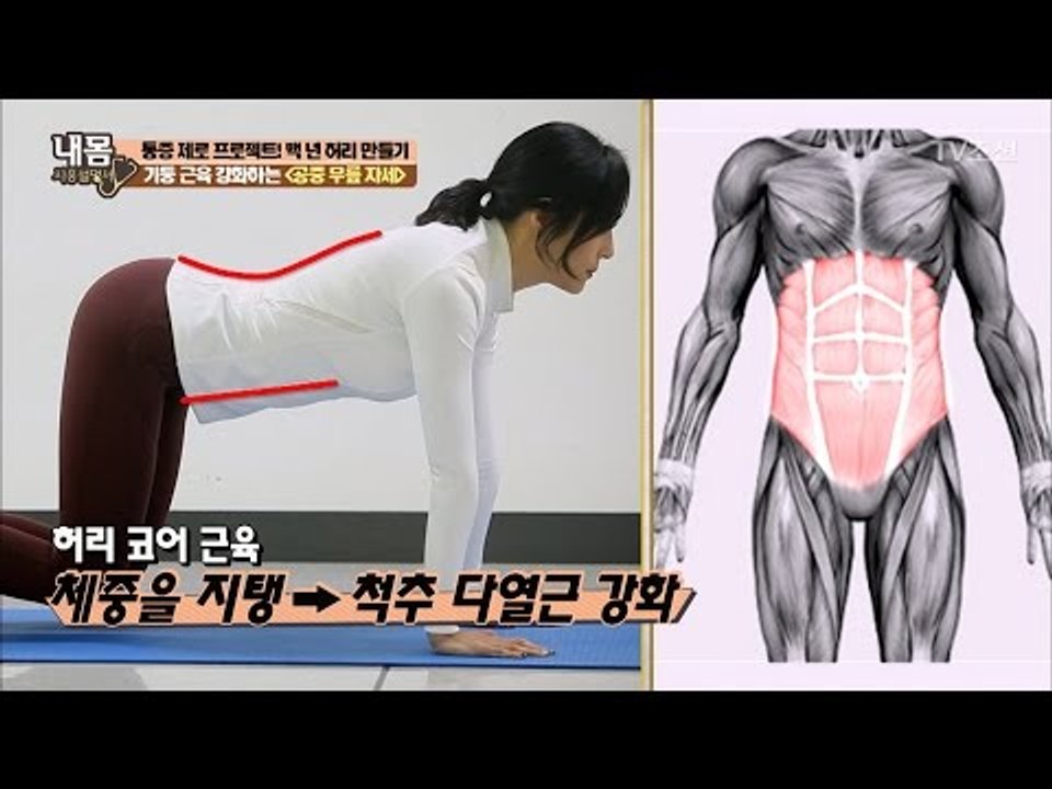허리 건강을 위한 다열근 강화 운동법! [내 몸 사용설명서] 139회 20170127