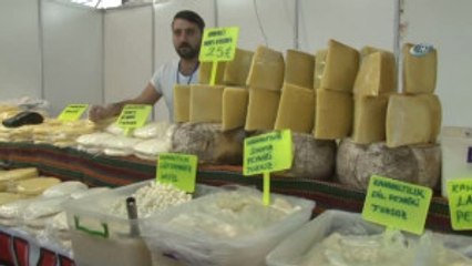 Kastamonu Günleri Başladı