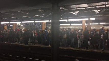 下载视频: Crowds Fill Subway Platform as Power Outage Causes Delays