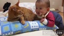 Babies annoying cats – Funny baby & cat compilation