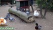 Real Duck Chickens Gn farm animals - Farm Animals video for kids