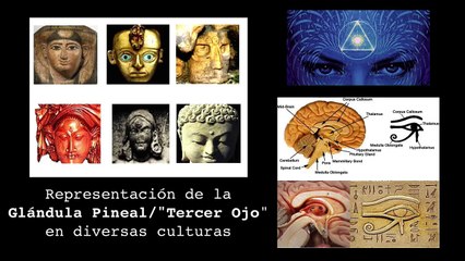 Isabel Rangel Barón y las técnicas para dormir bien de forma natural