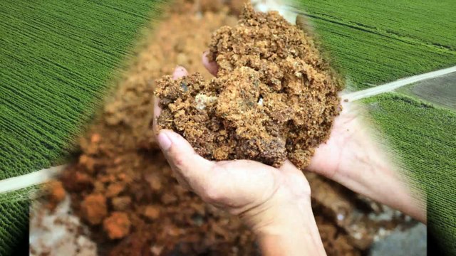 Smith Family Farms LLC - (217) 415-3875