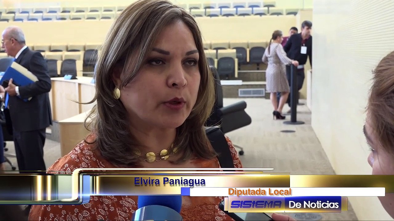 Falta de revision de la auditoria al Programa Escudo