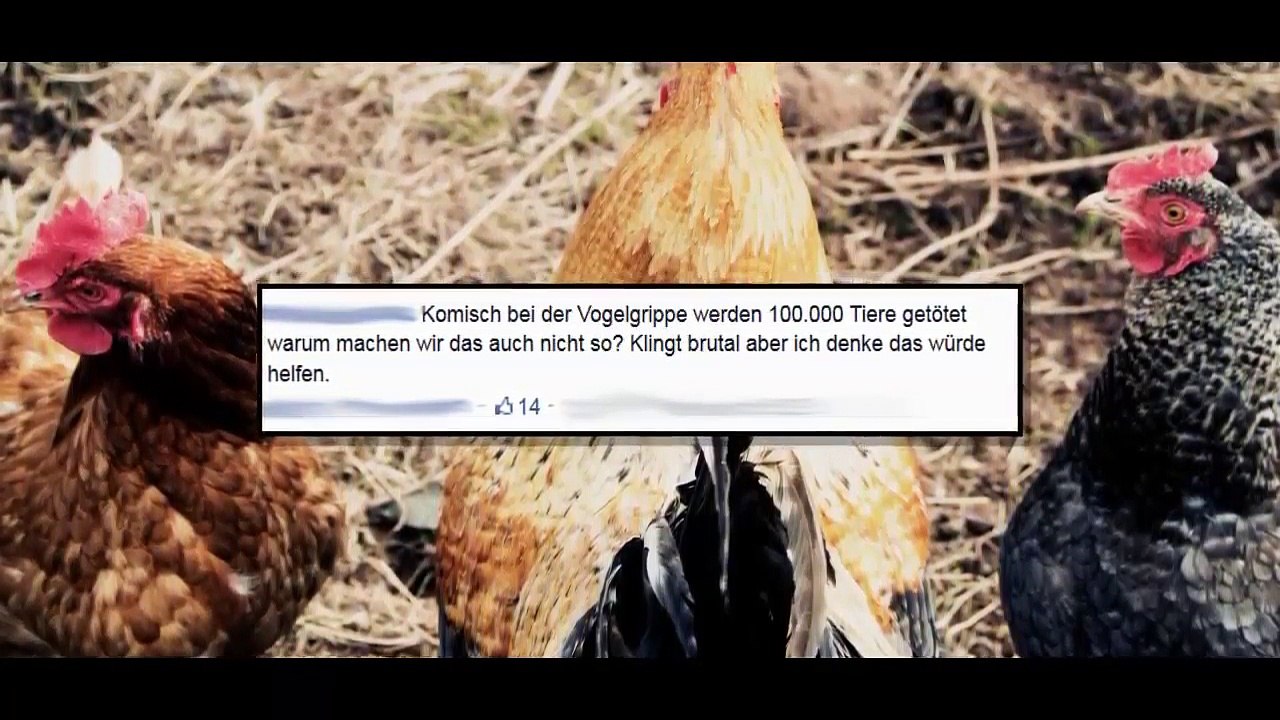 Räuber klauen Ebola Blutproben aus Transporter [BILDS INTELLIGENTESTE LESER #1] - TrollwutTV (Reupload)