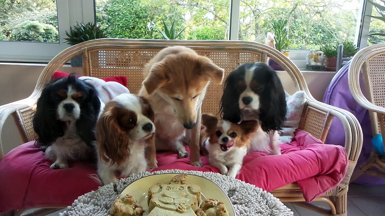 Joyeux Anniversaire Rouky