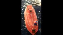 Hombre se lanza de un barco para salvar a una ballena atrapada en una red
