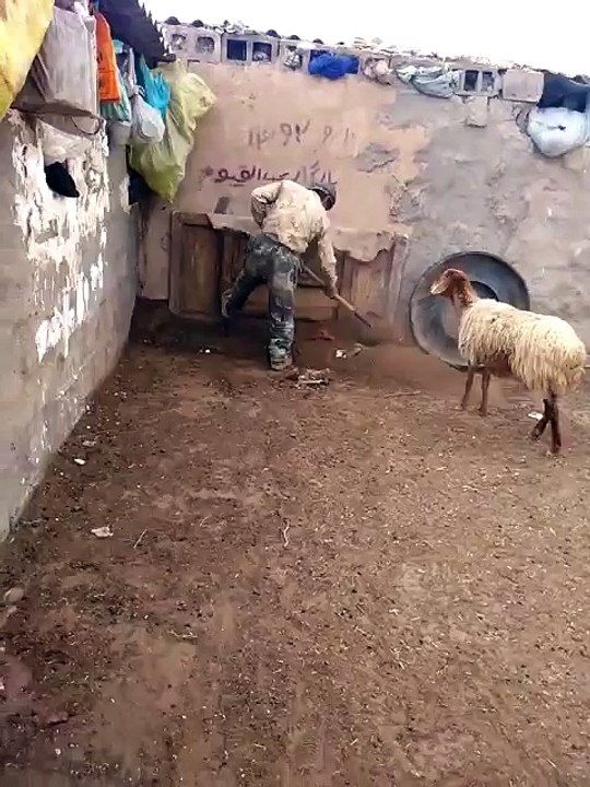 افتح ياسمسم فيديو مضحك